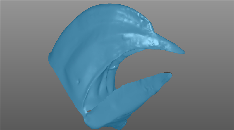 三維掃描犀鳥喙STL數據.jpg
